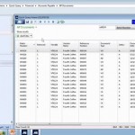 How To Properly Use Quick Query In Microsoft Dynamics SL ERP Solution Software