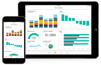 powerbi MIG & Co. Business Management Software Solutions Provider